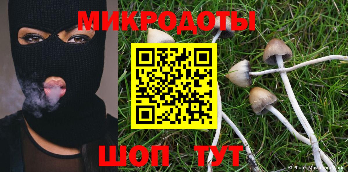 Псилоцибиновые грибы GOLDEN TEACHER Губкин