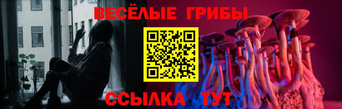 Псилоцибиновые грибы мухоморы  Вход с VPN  Псилоцибиновые грибы MAGIC MUSHROOMS  магазин  наркотиков  Губкин 